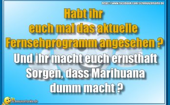 Das aktuelle Fernsehprogramm