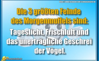 Das unerträgliche Geschrei