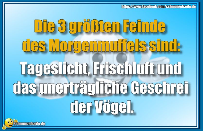 Das unerträgliche Geschrei