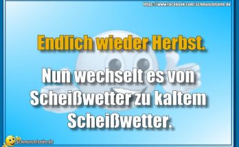Endlich wieder Herbst.
