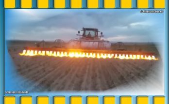 Unkrautbekämpfung mit Feuer auf de m Feld. Da bleibt nichts mehr stehen.