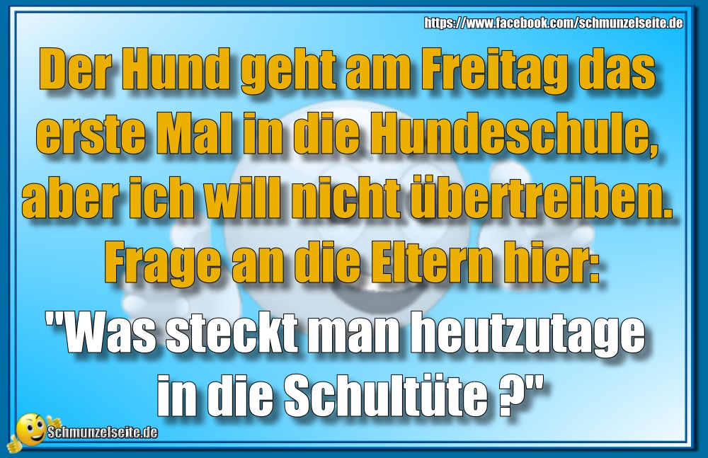 Hundeschule