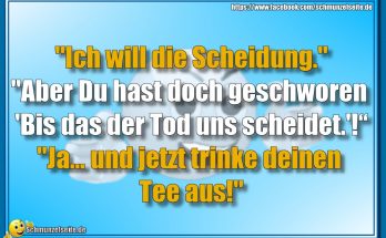 Ich will die Scheidung