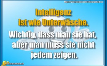 Intelligenz ist wie Unterwäsche