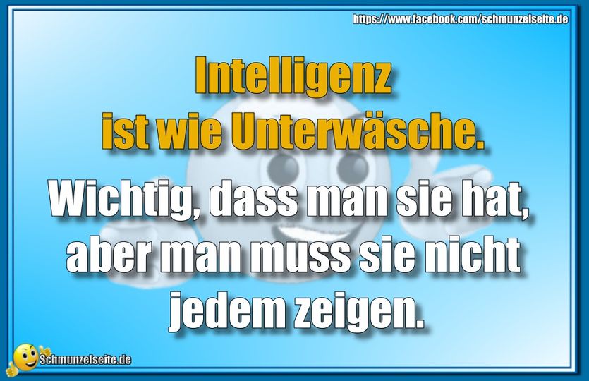 Intelligenz ist wie Unterwäsche