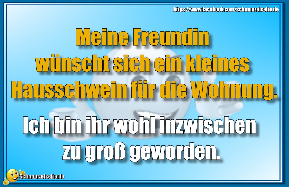 Kleines Hausschwein