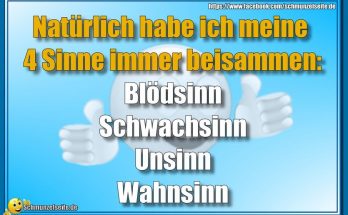Meine 4 Sinne