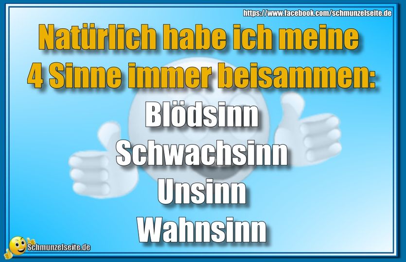 Meine 4 Sinne