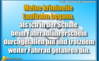 Meine kriminelle Laufbahn