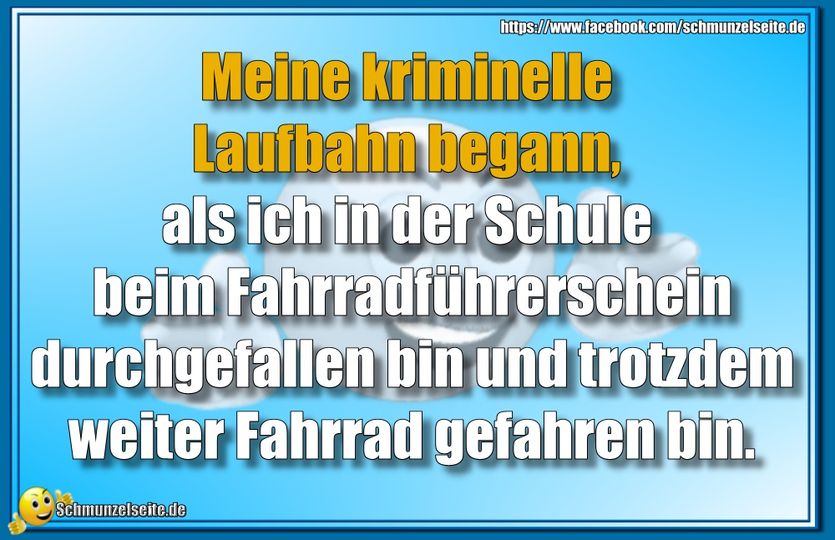 Meine kriminelle Laufbahn