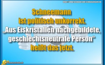 Politisch unkorrekt