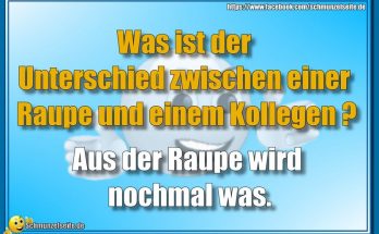 Raupe vs. Kollege