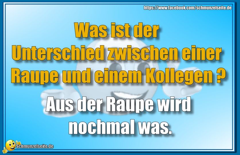 Raupe vs. Kollege