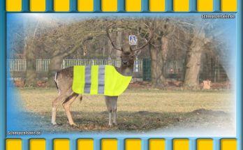 Warnwestenpflicht für Rehe – das wurde aber auch zeit. Wie soll man die sonst im dunkeln sehen.