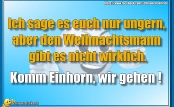 Weihnachtsmann vs. Einhorn