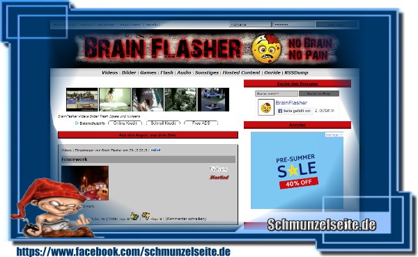 Brainflasher