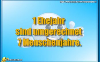 7 Menschenjahre