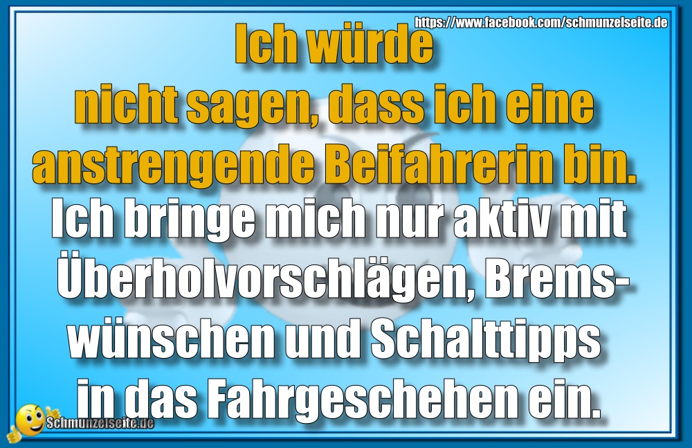 Anstrengende Beifahrerin