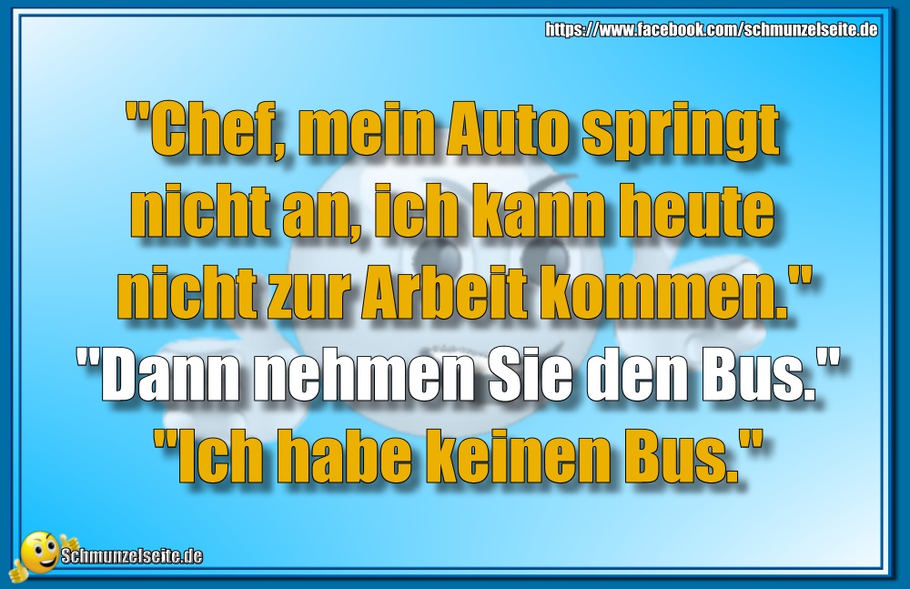 Auto springt nicht an