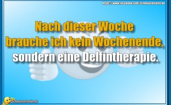 Delfintherapie