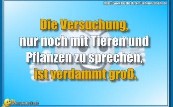 Die Versuchung
