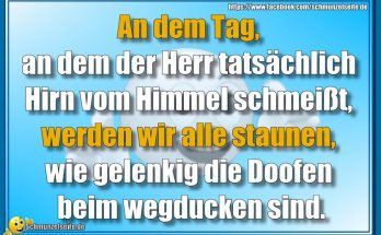 Hirn vom Himmel