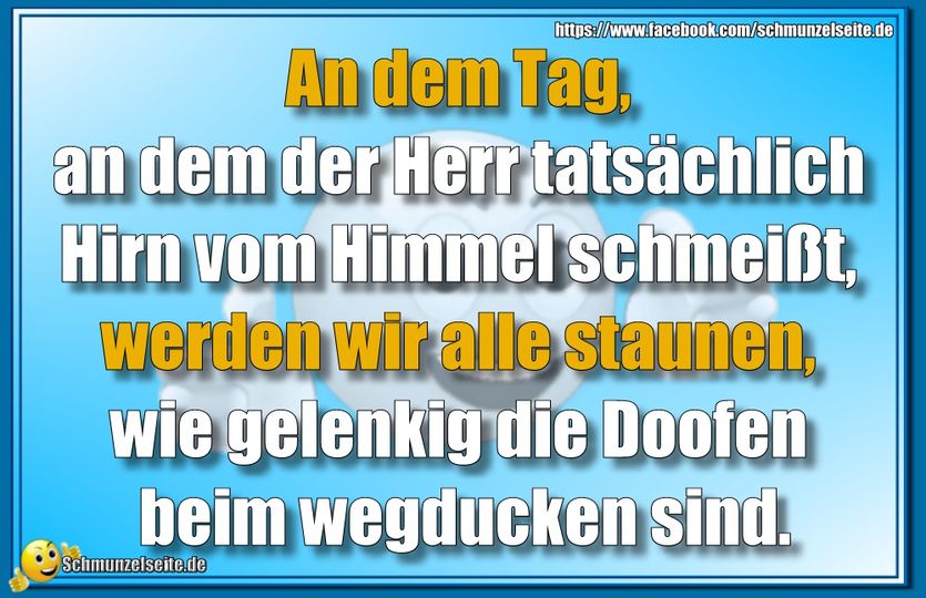 Hirn vom Himmel