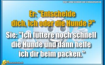 Ich oder die Hunde