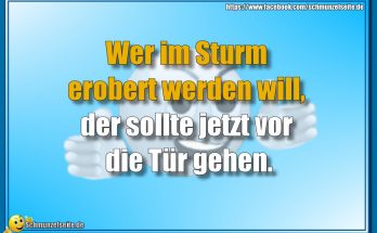 Im Sturm erobert