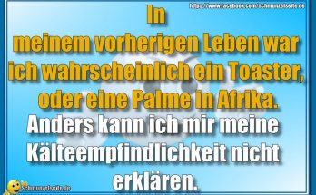 Palme in Afrika