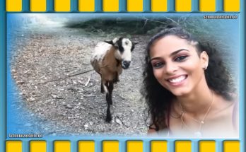 Tiere auf der Farm – hier geht voll die Post ab. Immer wieder lustig anzusehen.