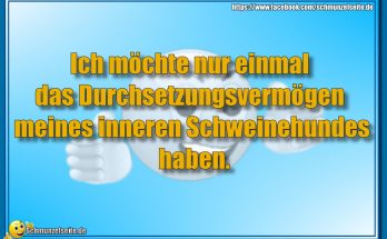 Durchsetzungsvermögen