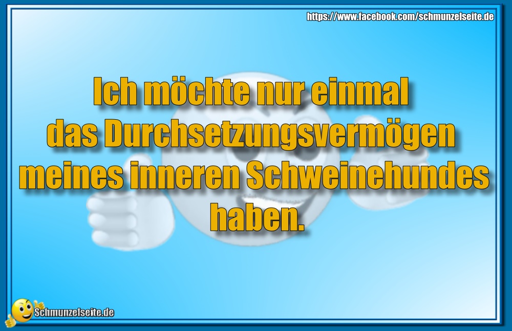 Durchsetzungsvermögen