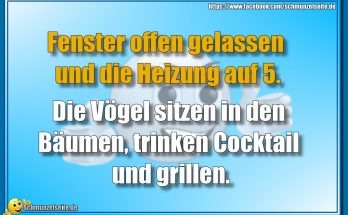 Fenster offen