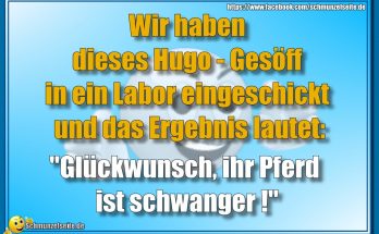Hugo-Gesöff