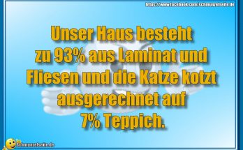 Die Katze kotzt
