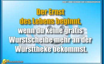 Ernst des Lebens