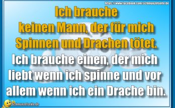 Spinnen und Drachen