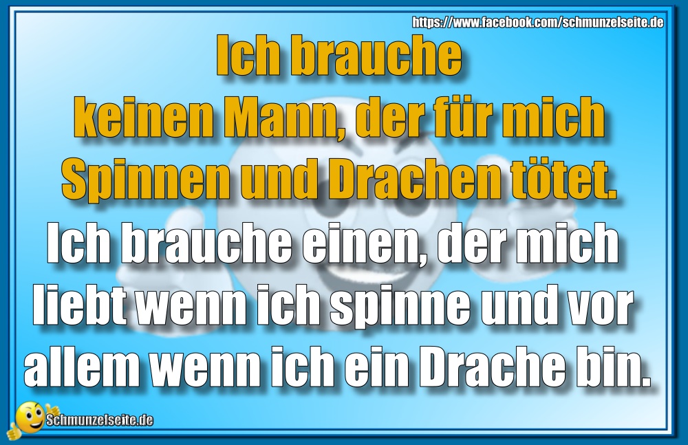 Spinnen und Drachen