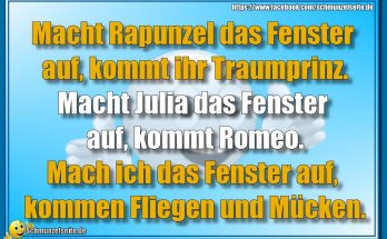 Das Fenster