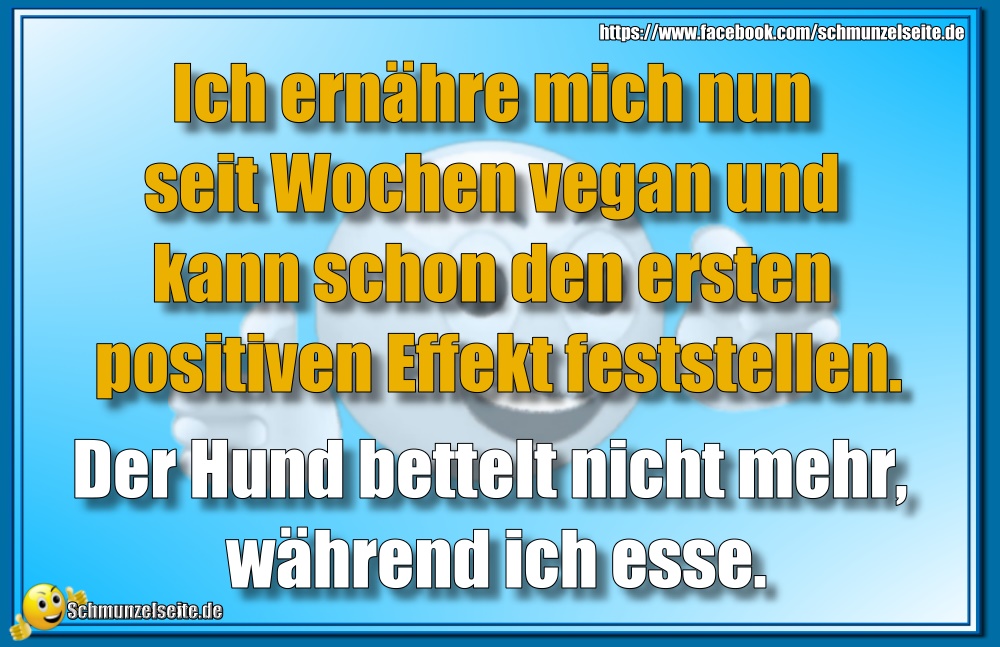 Der Hund bettelt