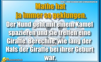Mathe