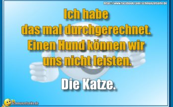 Die Katze