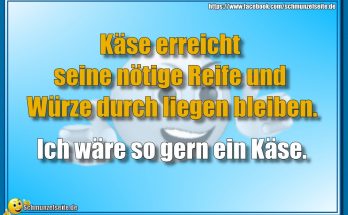 Käse