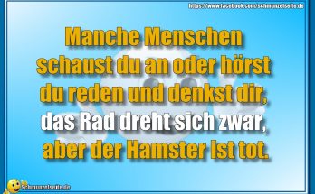 Der Hamster ist tot
