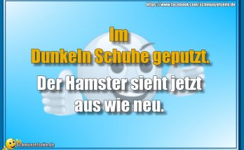 Schuhe geputzt