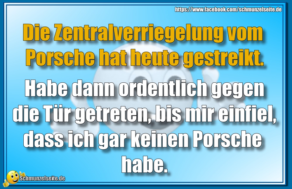 Zentralverriegelung Porsche