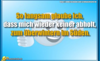 Überwintern im Süden