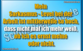 Sarkasmus-Level