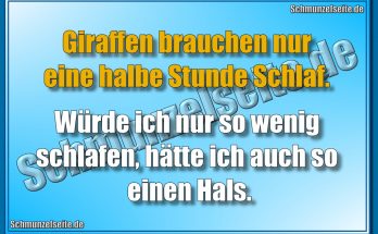 Halbe Stunde Schlaf
